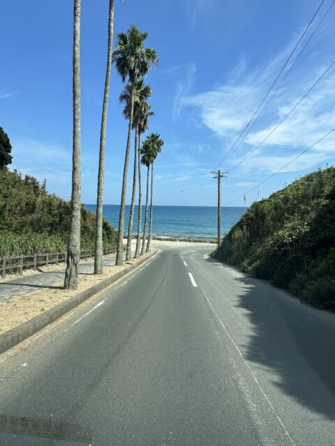 夏です。海！！